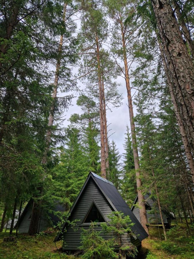 Liivakortsi Kaemping Hotel Romeda Bagian luar foto